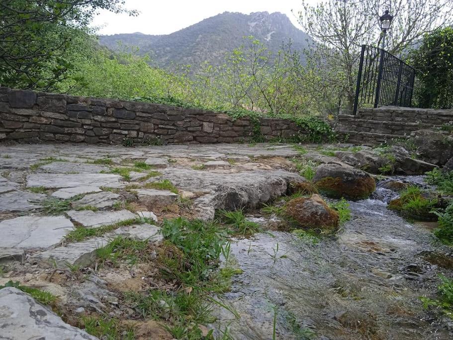 Alojamientos Sierra De Cadiz Benamahoma Dış mekan fotoğraf