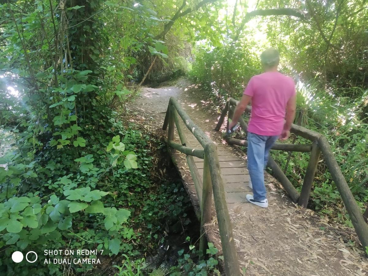 Alojamientos Sierra De Cadiz Benamahoma Dış mekan fotoğraf
