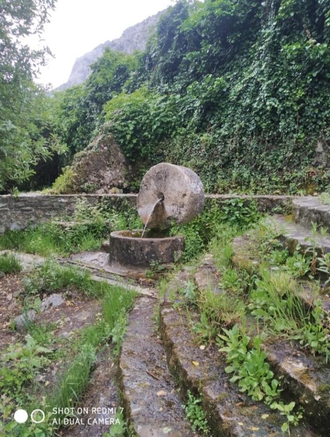 Alojamientos Sierra De Cadiz Benamahoma Dış mekan fotoğraf