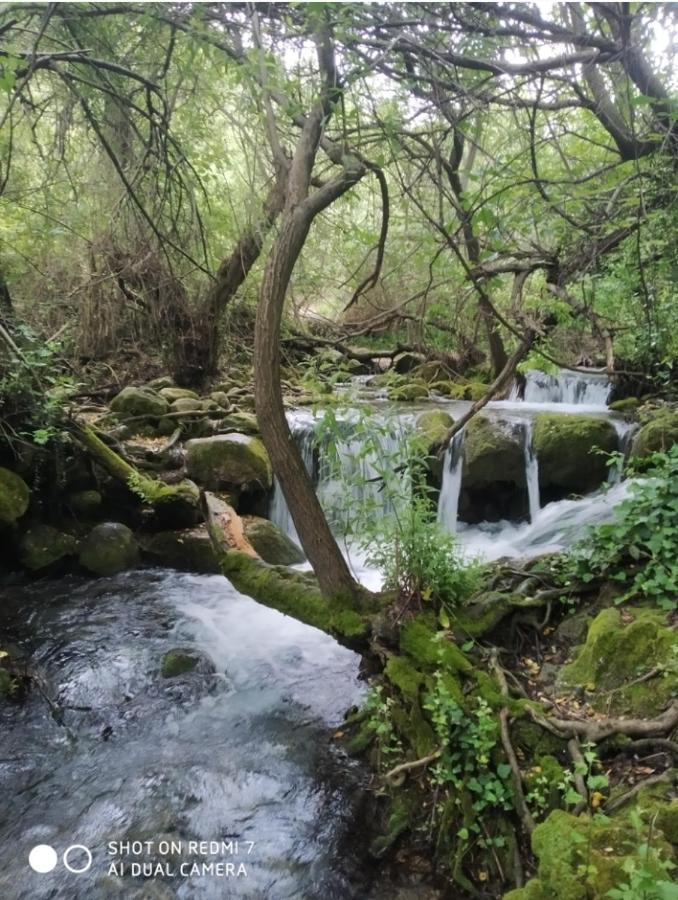 Alojamientos Sierra De Cadiz Benamahoma Dış mekan fotoğraf
