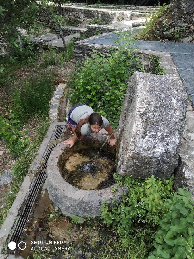 Alojamientos Sierra De Cadiz Benamahoma Dış mekan fotoğraf